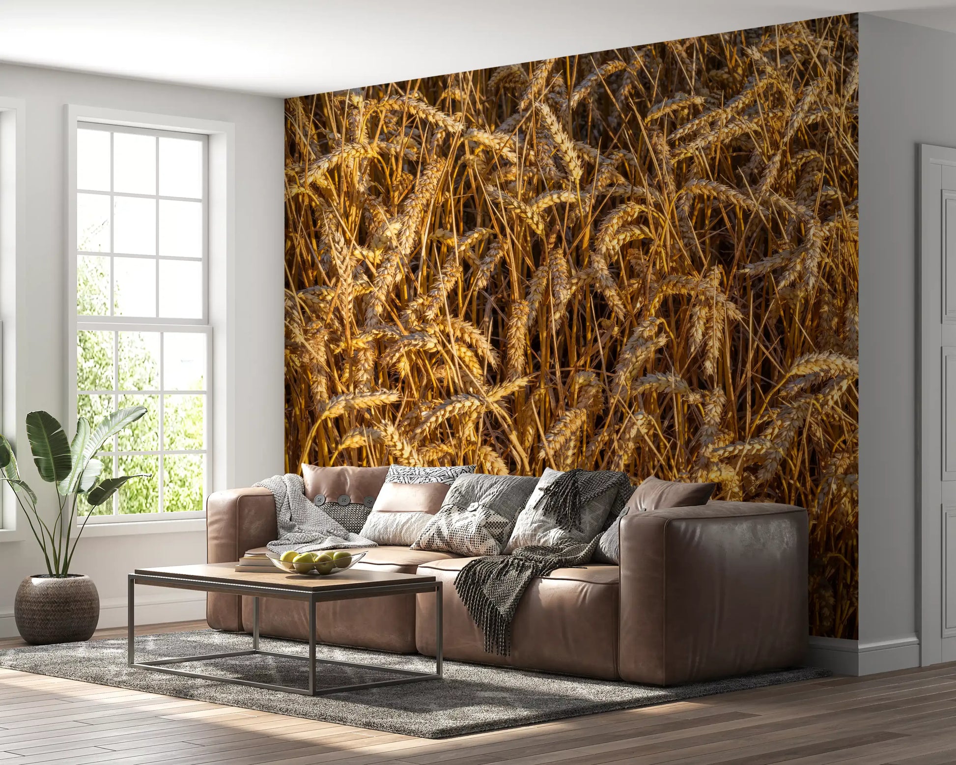 Countryside wall mural with sunlit farmland and harvest scenery
