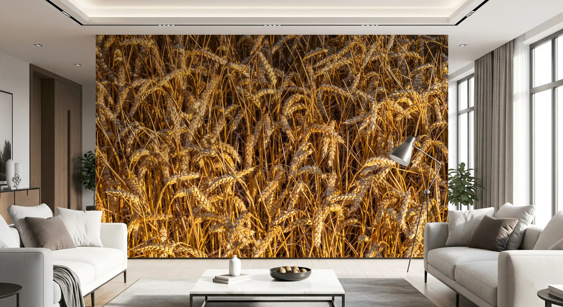 Countryside field wall mural with rich amber crop colours
