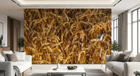 Countryside field wall mural with rich amber crop colours
