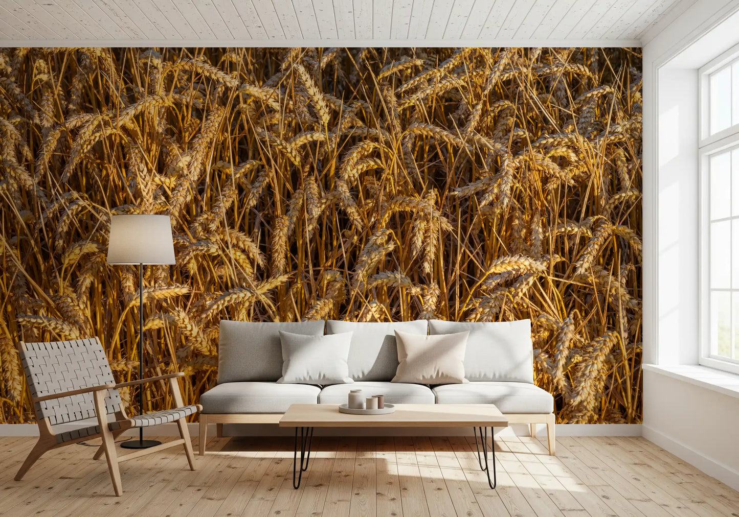 Rural landscape wall mural featuring golden wheat fields
