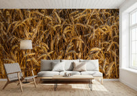 Rural landscape wall mural featuring golden wheat fields
