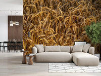 Golden wheat wall mural with peaceful country landscape views
