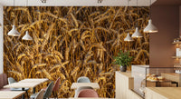 Golden crop field wall mural with expansive rural views
