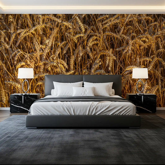 Agricultural field wall mural with warm harvest atmosphere
