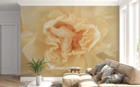 Soft Peach Ruffled Blooms Wall Mural