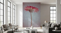 Elegant Pink Gerbera Bloom Wallpaper Wall Mural