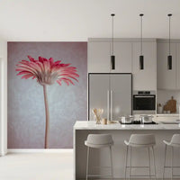 Elegant Pink Gerbera Bloom Wallpaper Wall Mural