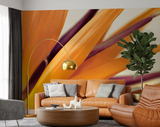 Orange bird of paradise warming a living room, Vibrant Botanical wall mural GD10912
