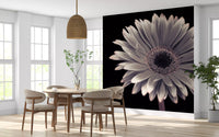 Petals of the Midnight Gerbera Wall Mural