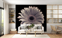 Petals of the Midnight Gerbera Wall Mural