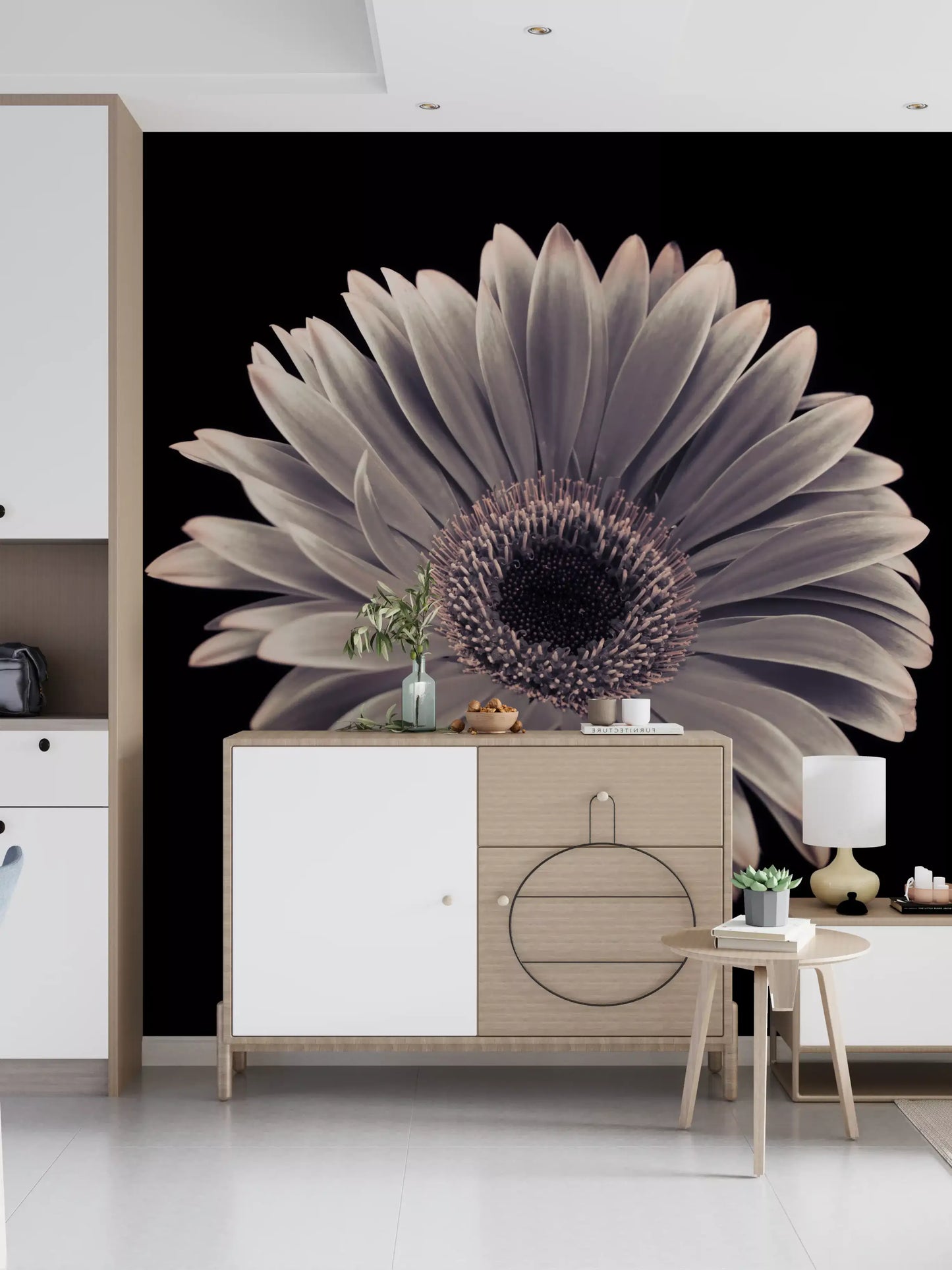 Petals of the Midnight Gerbera Wall Mural