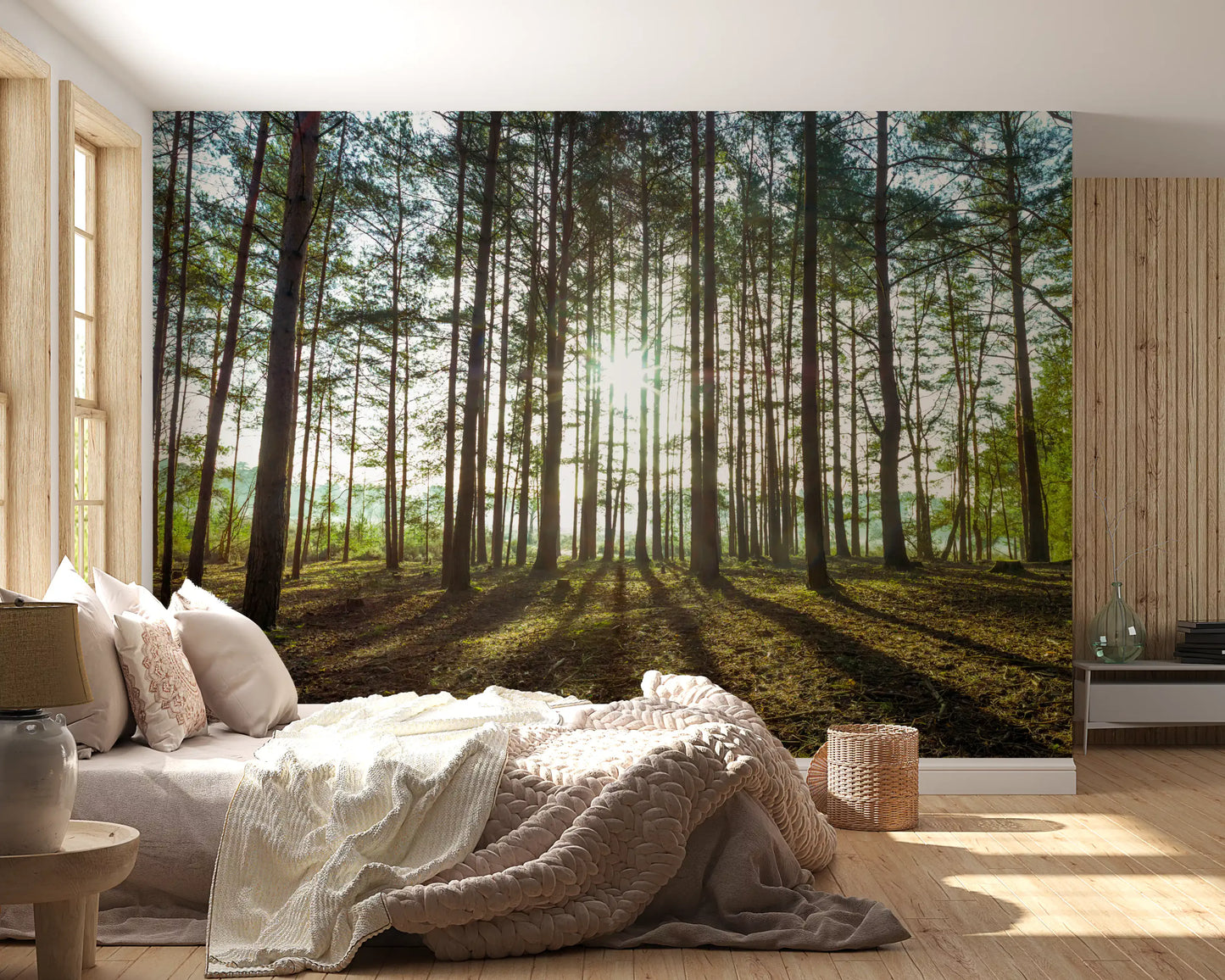 Sunlit Pine Forest Morning Wall Mural