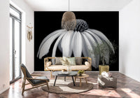 Monochrome Echinacea Bloom Wall Mural