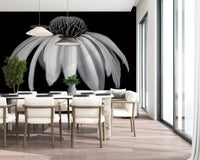 Monochrome Echinacea Bloom Wall Mural