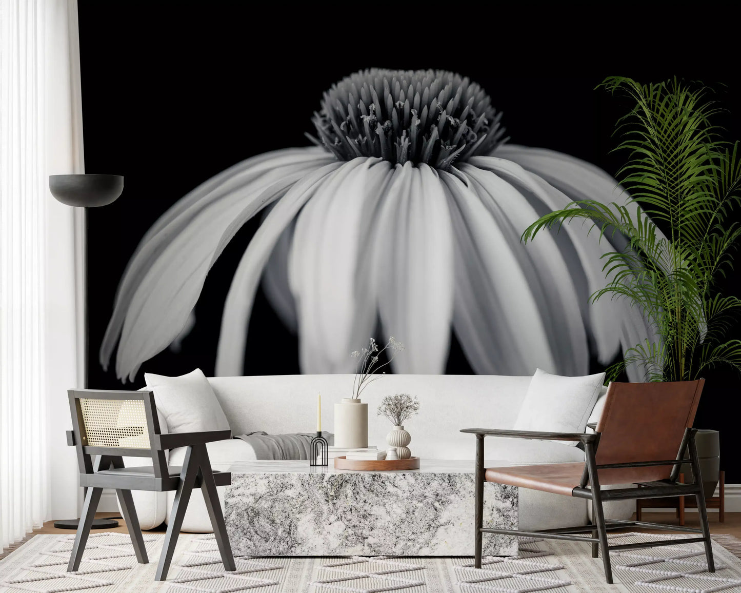 Monochrome Echinacea Bloom Wall Mural
