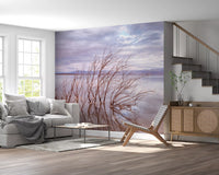 Misty Shoreline Reflection Wall Mural