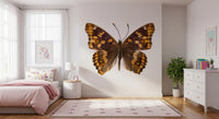 Amber Winged Monarch Wall Mural