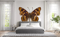Amber Winged Monarch Wall Mural