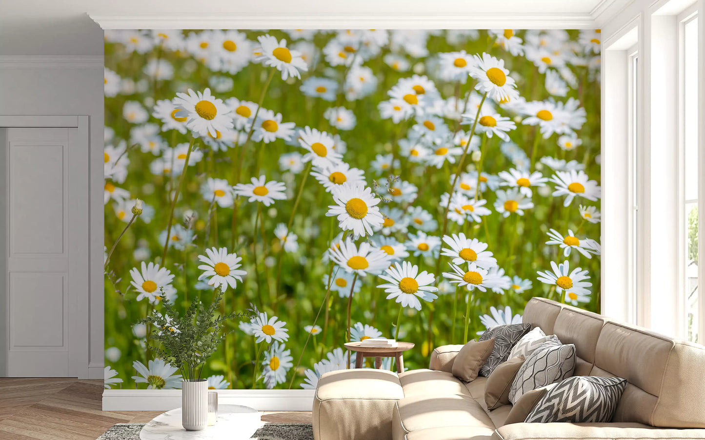 Sunlit Daisy Meadow Wall Mural
