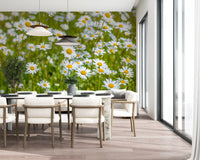 Sunlit Daisy Meadow Wall Mural