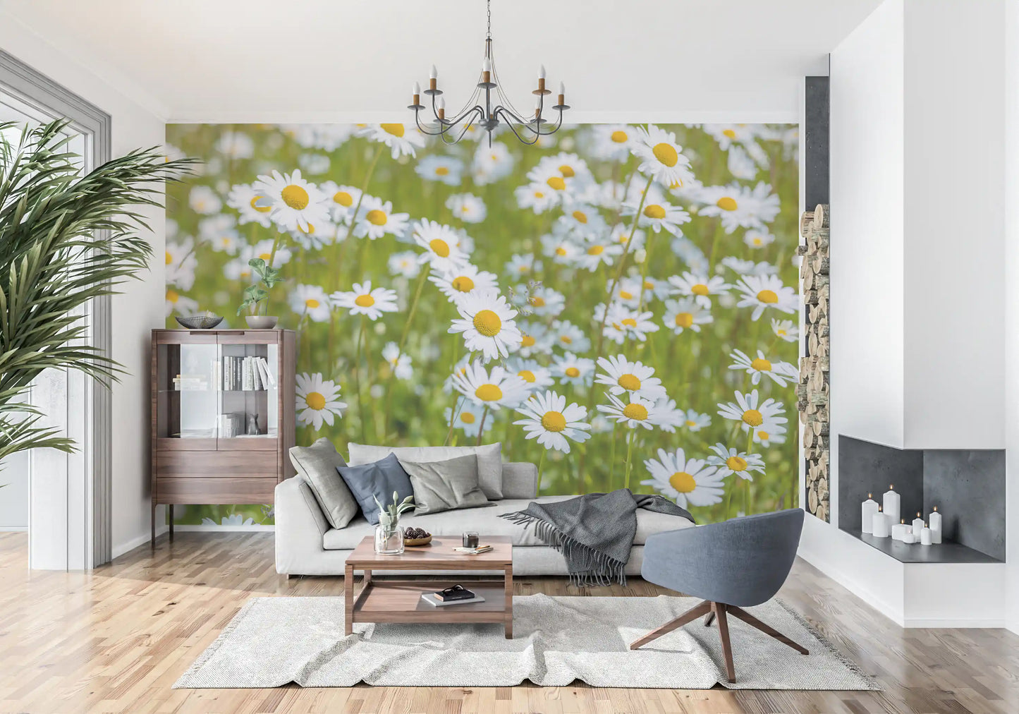 Sunlit Daisy Meadow Wall Mural