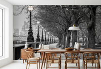 London River Promenade Wall Mural