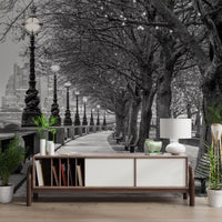 London River Promenade Wall Mural