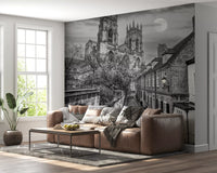 York Minster Moonlight Alley Wall Mural