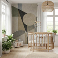 Minimalist Geometric Shapes Wall Mural with abstract circular design GD11249