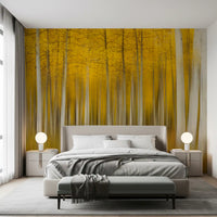Golden Aspen Forest Motion Wall Mural