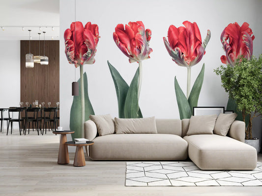 Crimson parrot tulip warms a calm living room wall mural GD11375