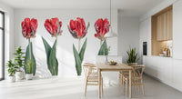 Crimson Parrot Tulip Study Wall Mural