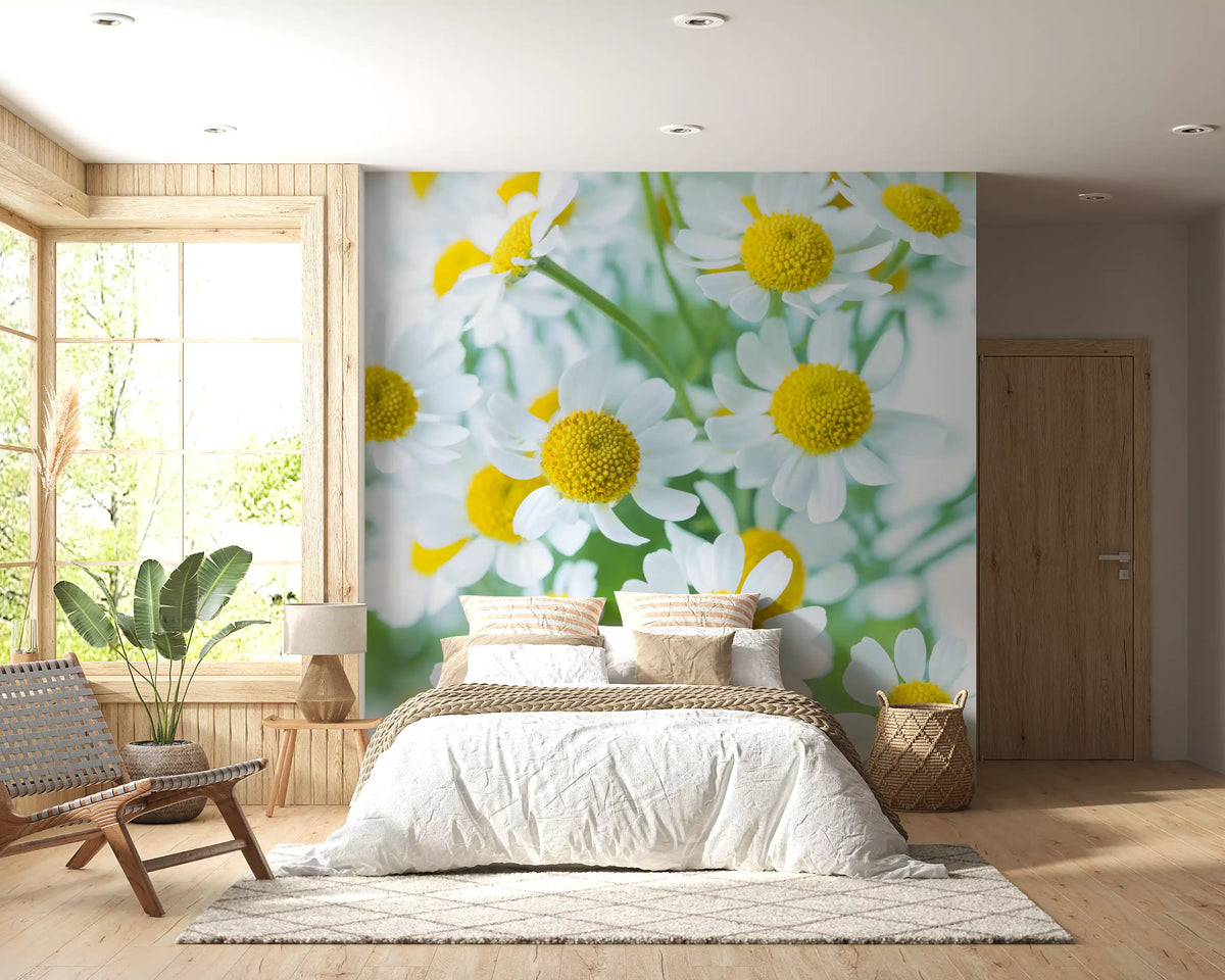 Bedroom freshened by large white daisies, Spring Meadow Bloom wall mural GD11410