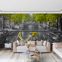 Sunny Tulips on a Dutch Bridge Wall Mural
