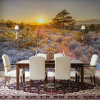 Frosty Morning Woodland Glow Wall Mural