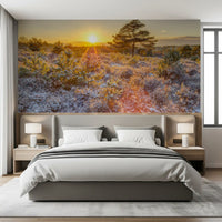 Frosty Morning Woodland Glow Wall Mural