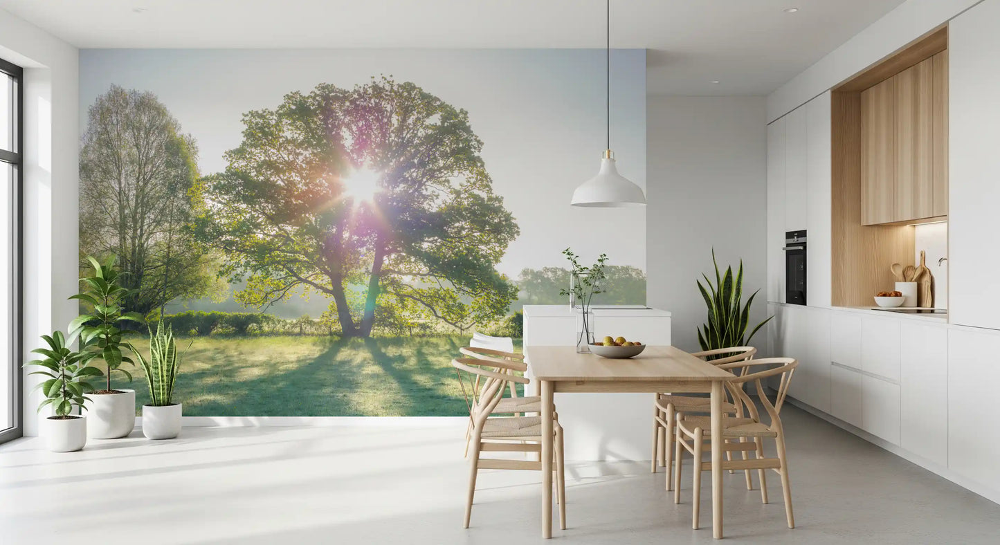 Golden Hour Meadow Canopy Wall Mural