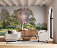 Golden Hour Meadow Canopy Wall Mural