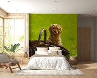 Playful Golden Puppy Portrait Wall Mural