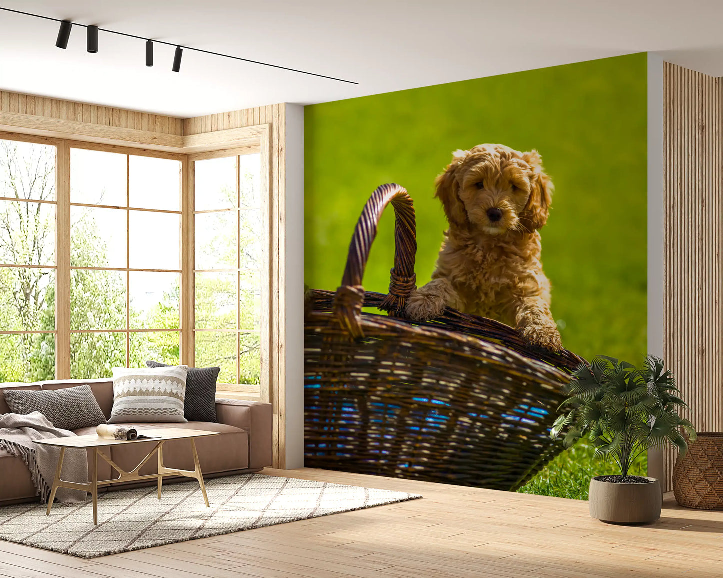 Playful Golden Puppy Portrait Wall Mural