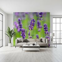Ethereal Purple Blossom Stems Wall Mural