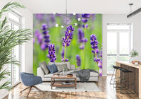 Ethereal Purple Blossom Stems Wall Mural