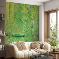 Rustic Industrial Green Wood Hinge Wall Mural