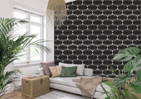 Monochrome Geometric Arcs Wallpaper⁠
