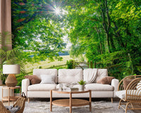 Rustic Woodland Gate Entrance Wall Mural