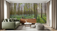 Springtime Woodland Canopy and Blooms Wall Mural