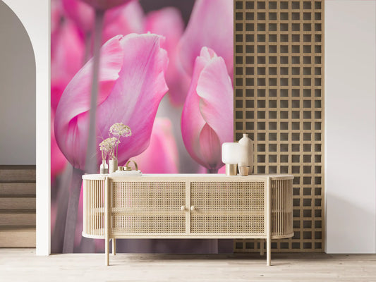 Spring Tulip Macro Study Wall Mural
