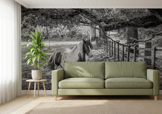 Pastoral Equine Monochrome wall mural behind a green sofa and leafy plant GD12831