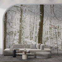 Snowy birch wall mural lending calm to a restful living room GD12836
