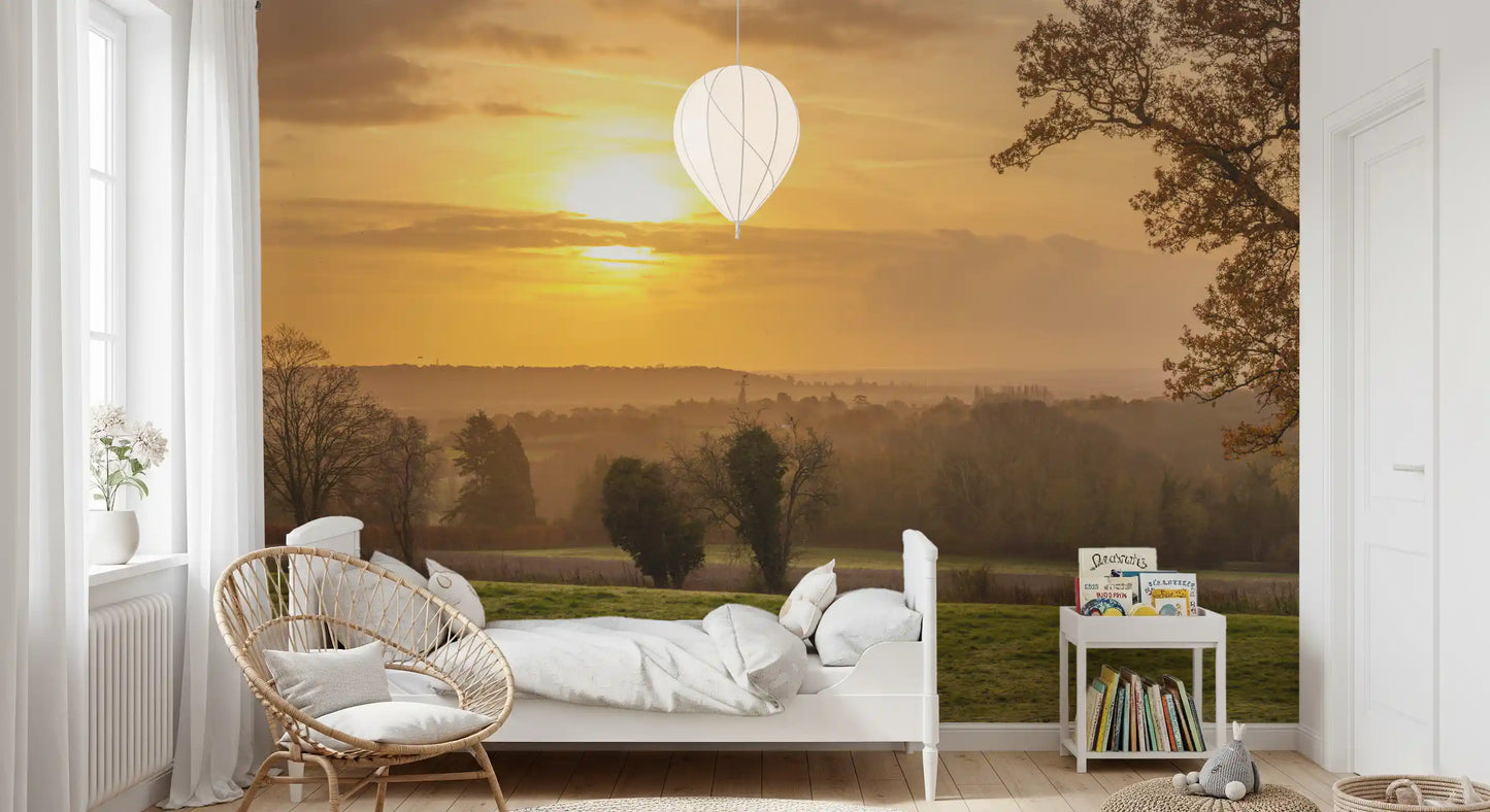 Bare trees stand against a golden sky in this sunset wall mural, GD12840
